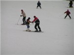 0801 (13)
